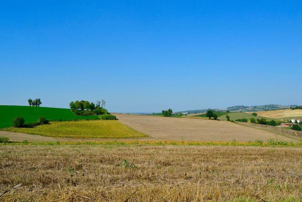 Przyroda w pobliżu tego obiektu B&B