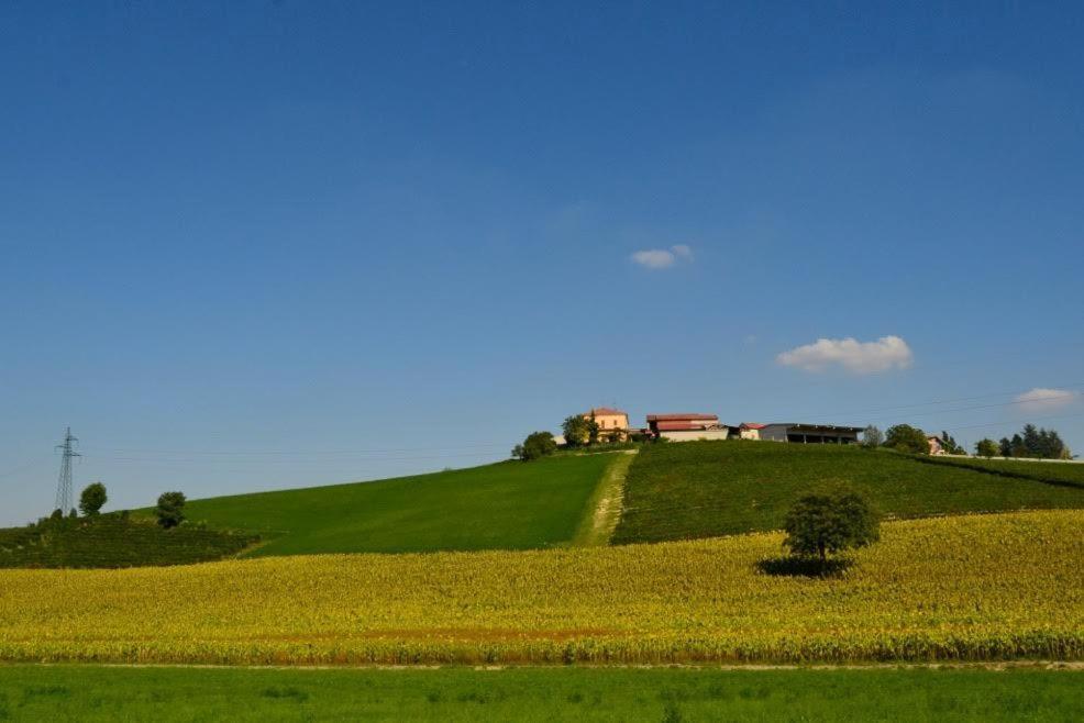 Przyroda w pobliżu tego obiektu B&B