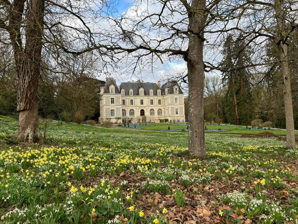 Zahrada ubytování Château de Saint-Bohaire