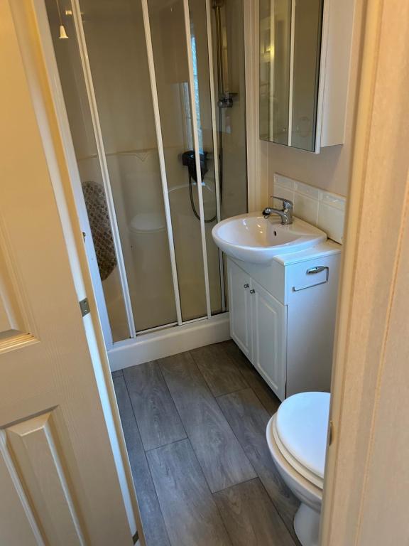a bathroom with a toilet and a sink and a shower at Hideout caravan in Llangristiolus