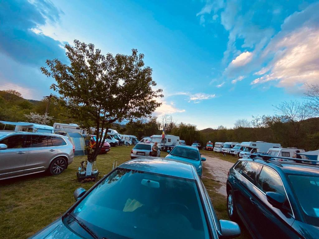 a bunch of parked cars in a parking lot at Camping Mala Clisura Dunării in Eşelniţa