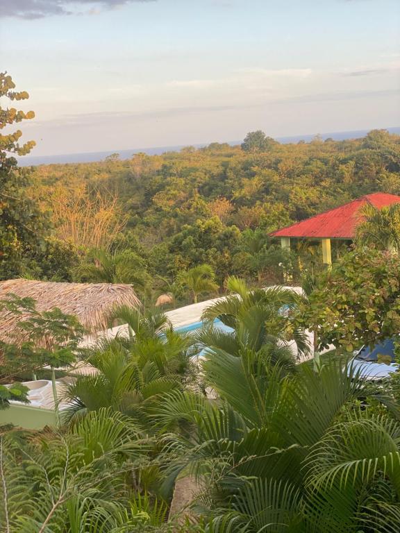 widok na ośrodek z basenem i drzewami w obiekcie Campito Carmen Luisa w mieście San Cristóbal