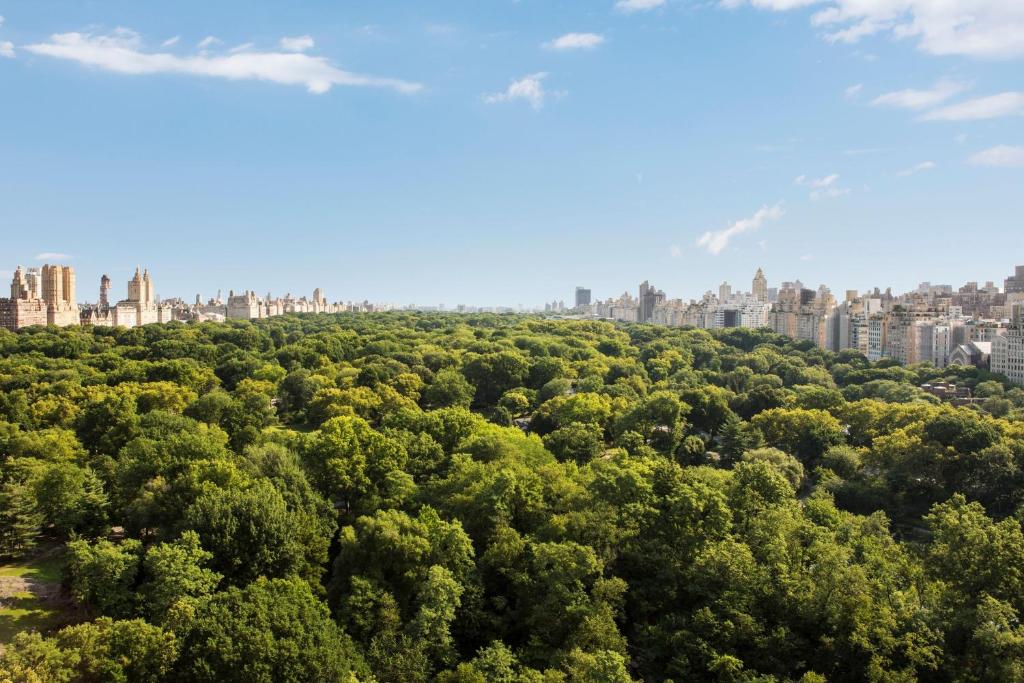 an aerial view of a forest of trees with a city in the background at The Ritz-Carlton New York, Central Park in New York