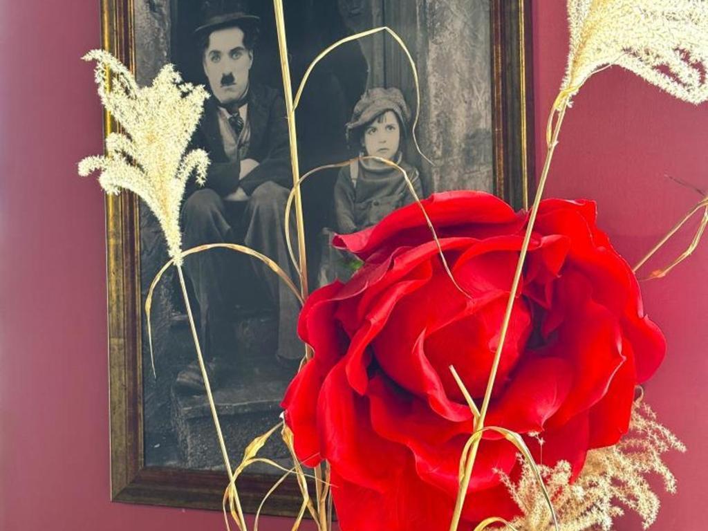 Fotografie z fotogalerie ubytování Grande maison rénovée avec jardin clos, idéale pour familles et amis, équipements variés, animaux acceptés - FR-1-489-50 v destinaci Trézelles