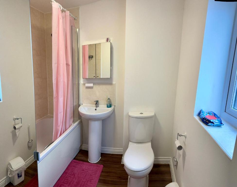 a bathroom with a toilet and a sink and a mirror at Comfortable double room with shared spaces in West Bromwich