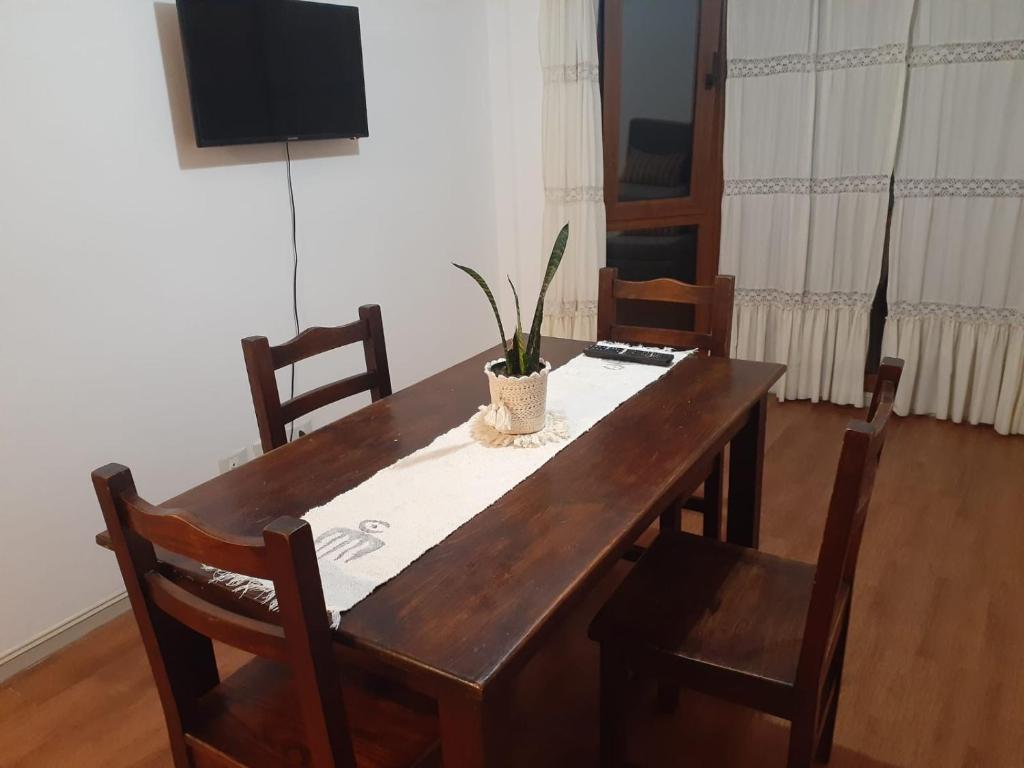 einen Esstisch mit einer Topfpflanze darauf in der Unterkunft Terrazas del Sur in San Carlos de Bariloche