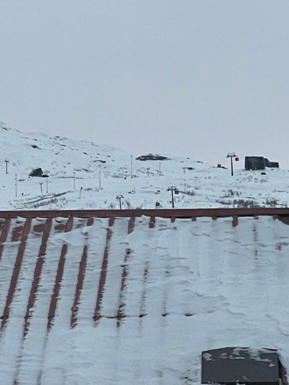 Narvik centum during the winter