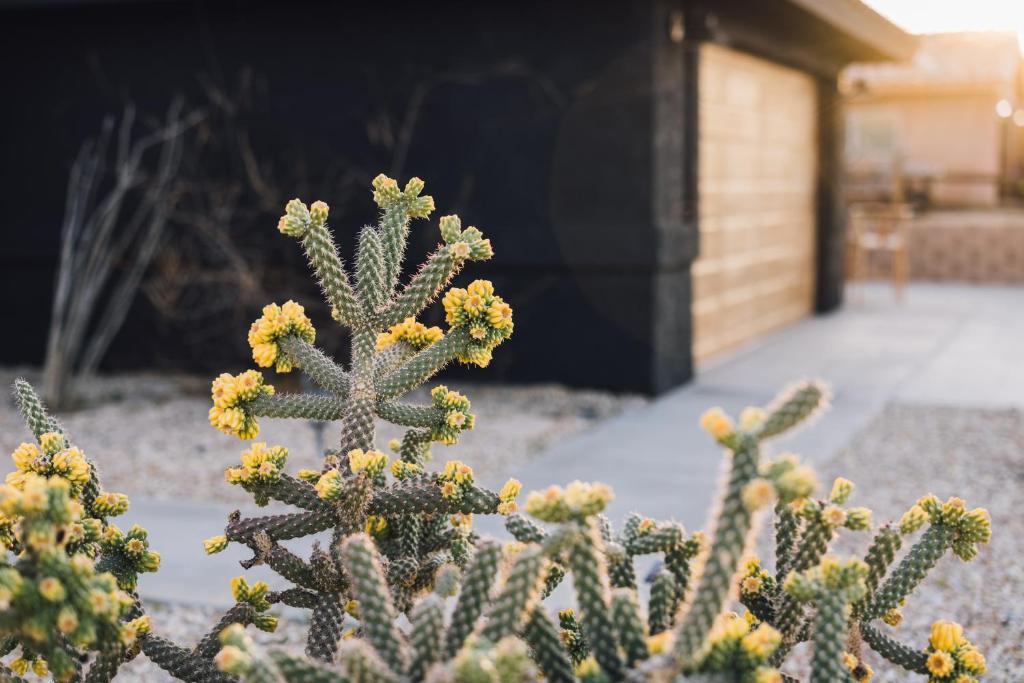 Foto de la galería de Heated Pool, Hot Tub, Plunge, Game Room, and Kid's Toys! en Joshua Tree