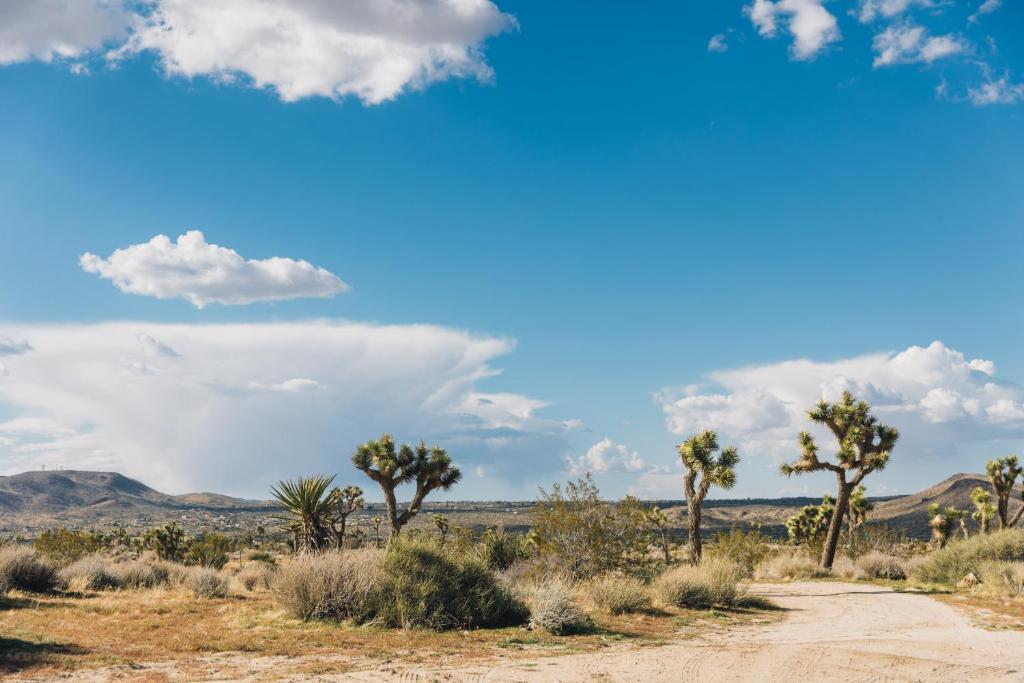 Foto de la galería de Heated Pool, Hot Tub, Plunge, Game Room, and Kid's Toys! en Joshua Tree