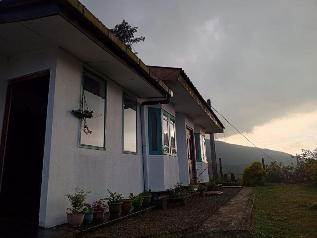 a house with potted plants sitting outside of it at Mount View Cottage in Nuwara Eliya