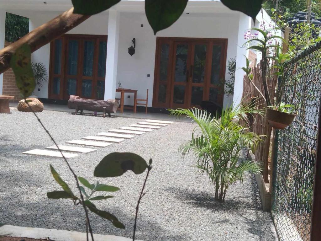 un patio con plantas frente a una casa en Oqura Villa, en Ahangama