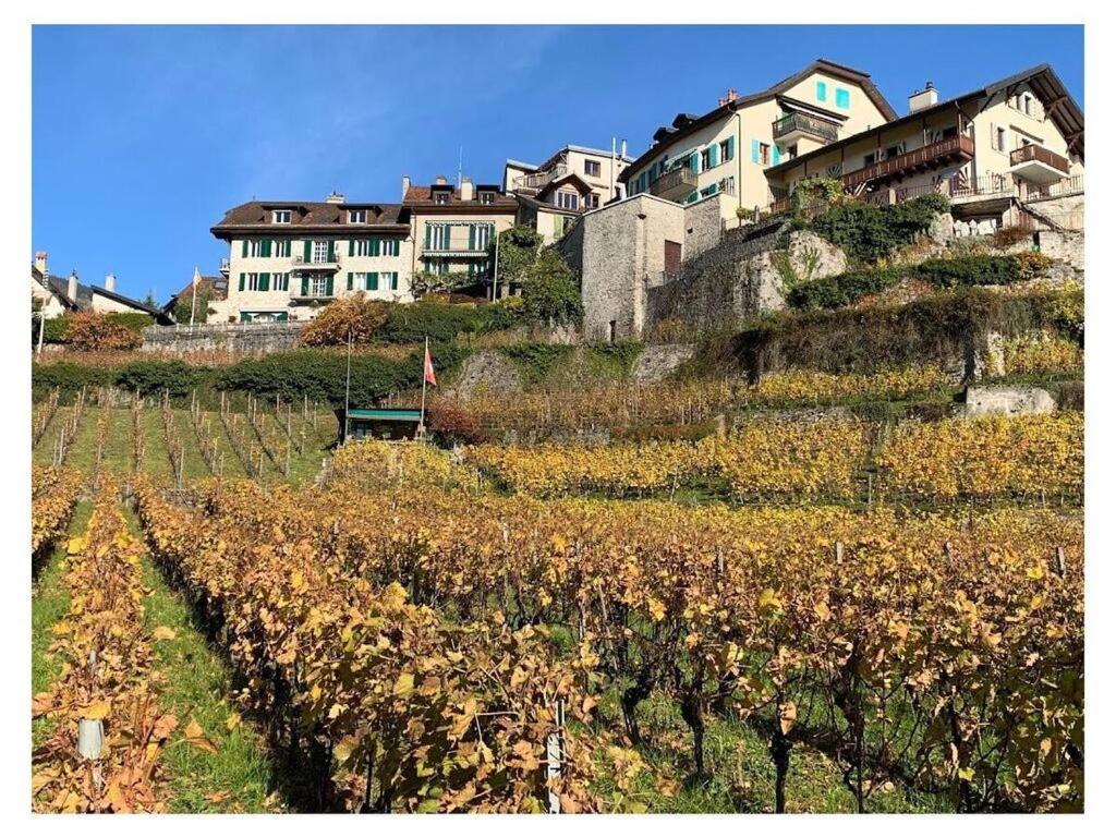um monte de casas numa colina com uma vinha em La Vigneronne, Garden em Blonay
