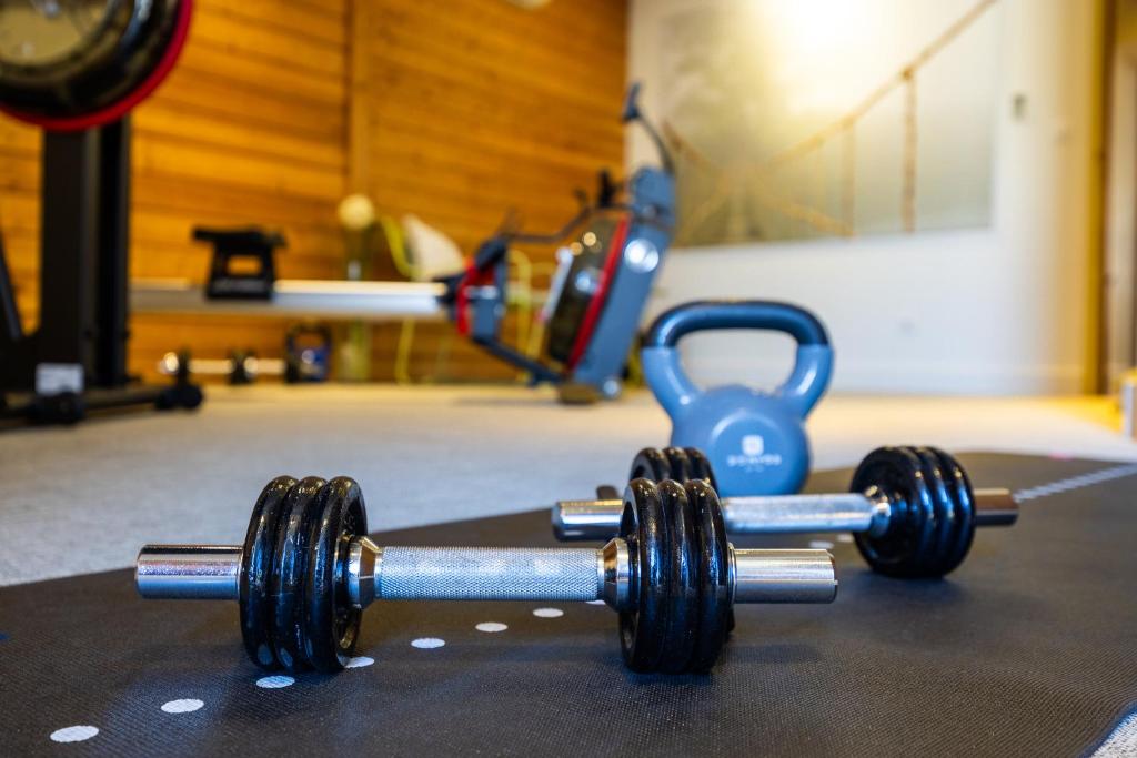 Fitness centrum a/nebo fitness zařízení v ubytování Hôtel Le Griffon d'Or