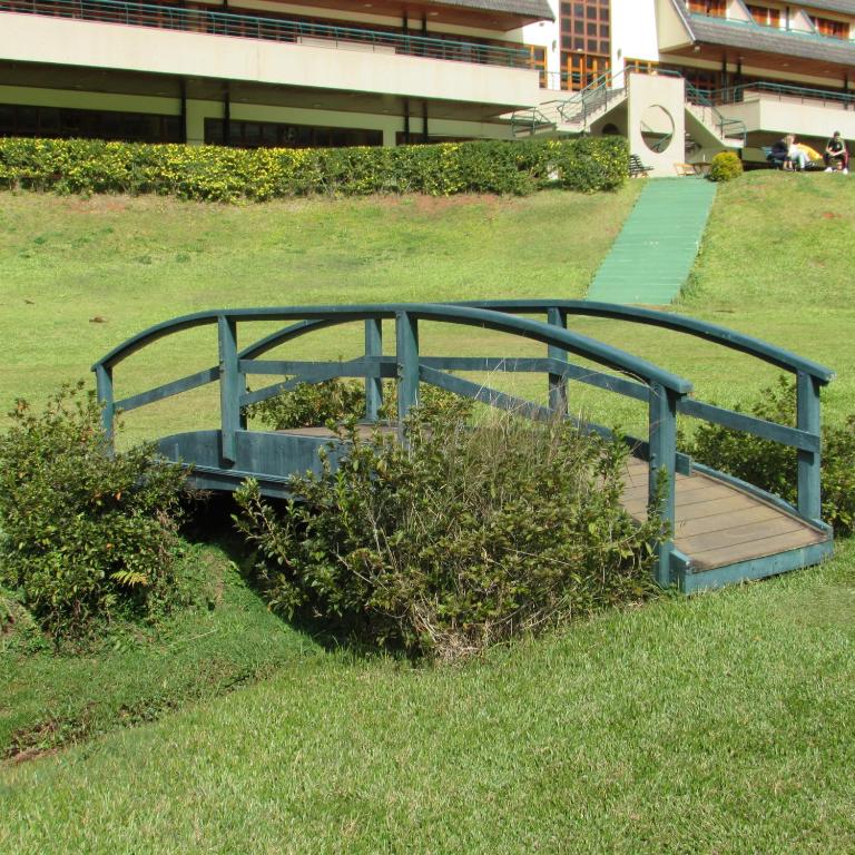  Satélite - Campos do Jordão