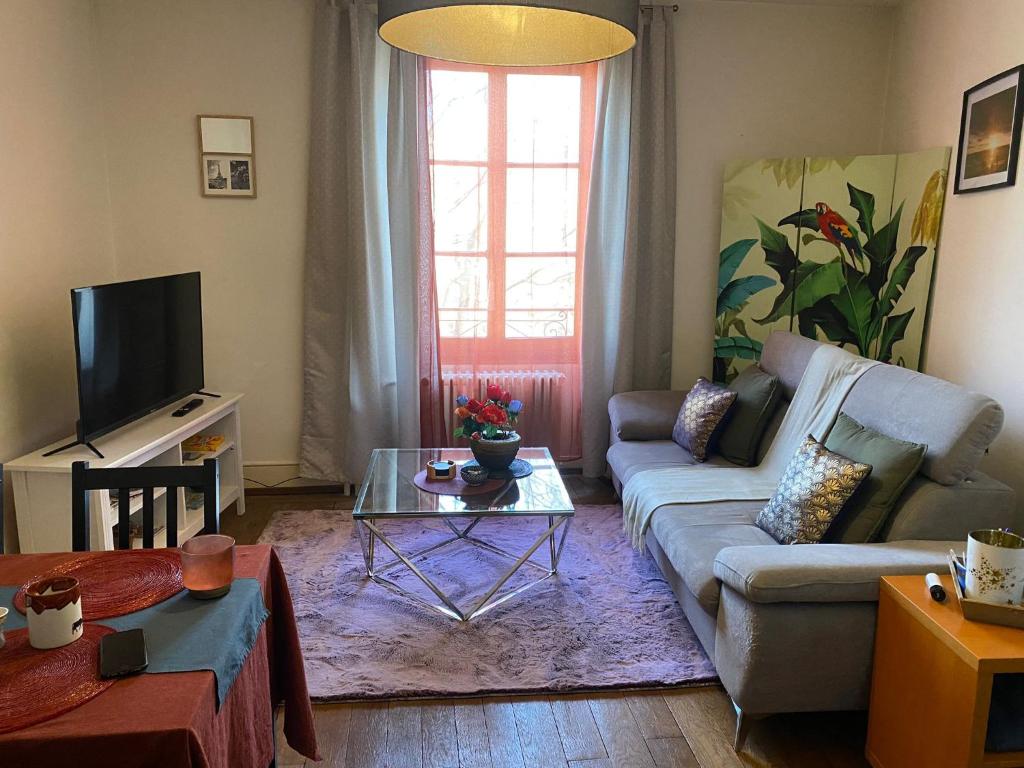 TV a/nebo společenská místnost v ubytování Montreux appartement centre lac