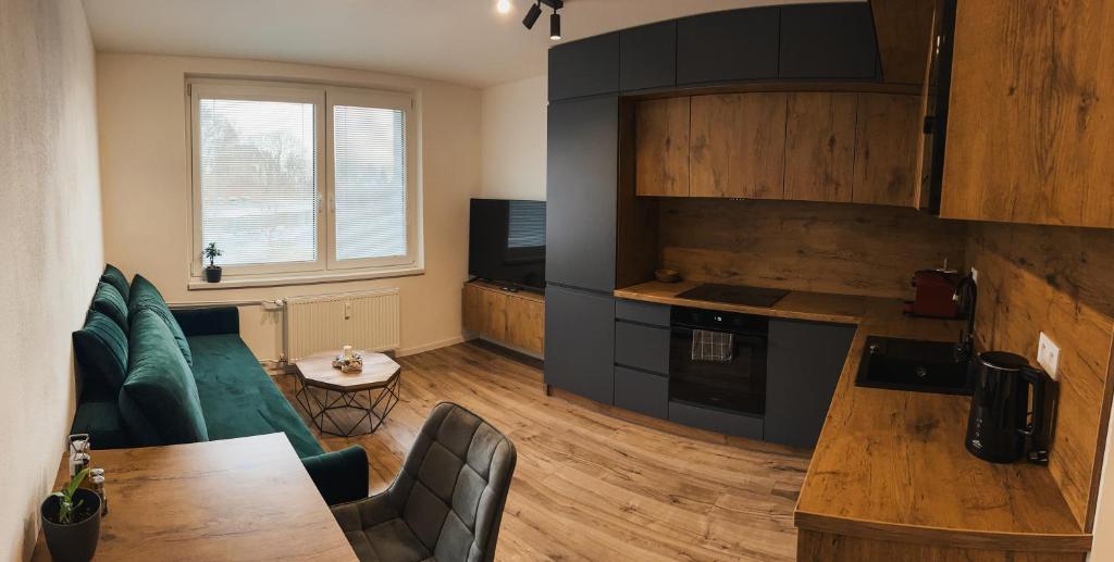 Kuchyň nebo kuchyňský kout v ubytování Apartment Dubnica nad Váhom