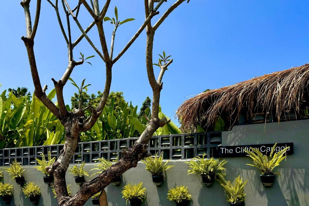 The Clifton Canggu - 5