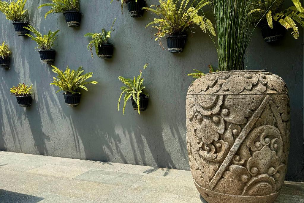 The Clifton Canggu - 3