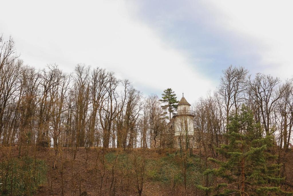 Příroda nedaleko apartmánu