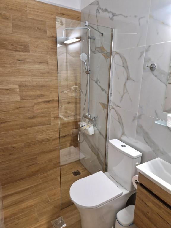 a bathroom with a toilet and a glass shower at Ares Apartment, Town of Poros Island in Poros