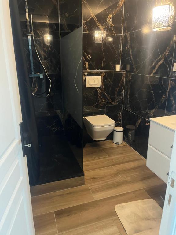 La salle de bains est pourvue de toilettes et d'un mur noir. dans l'établissement Appartement à Fillinges, à Fillinges