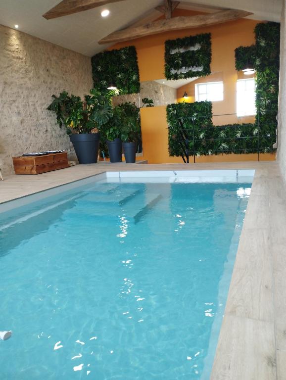 a large swimming pool with blue water and plants at Gite la Péraie - Le Roseau in Treize-Vents