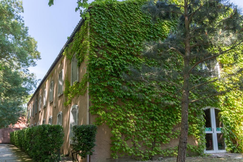 Zahrada ubytování Hôtel du Canal