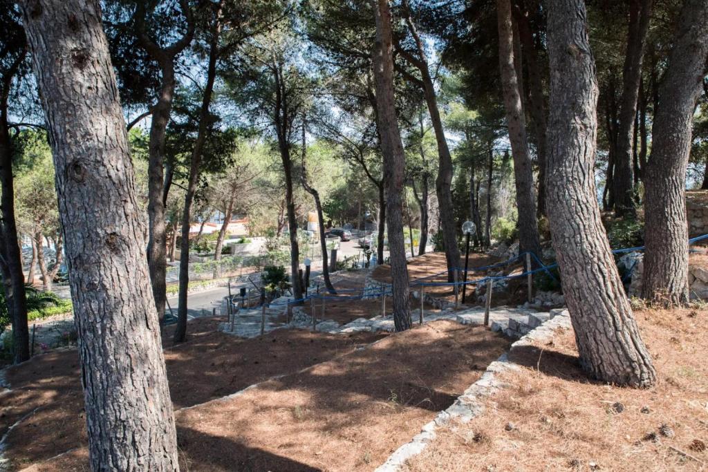 Zahrada ubytování Camping La Scogliera - Maeva Vacansoleil