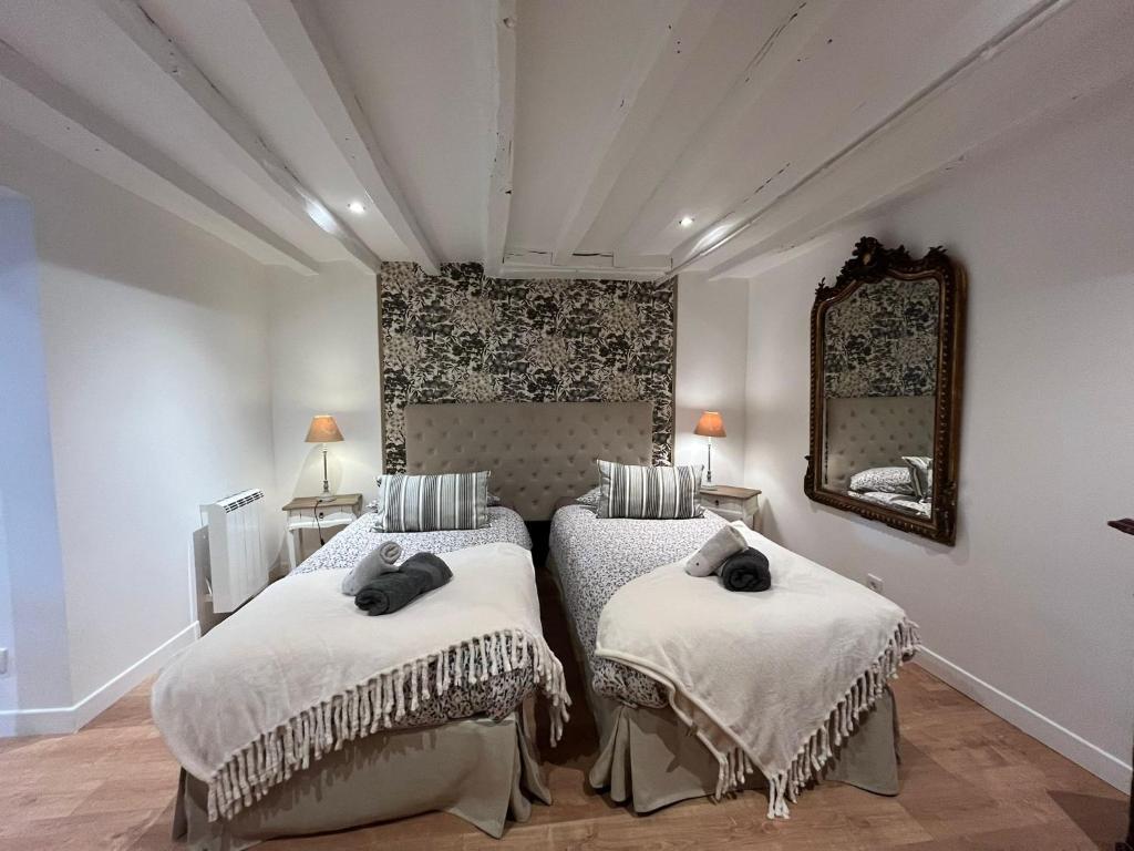 a bedroom with two beds and a mirror at Gîte De Chevreuse in Chevreuse