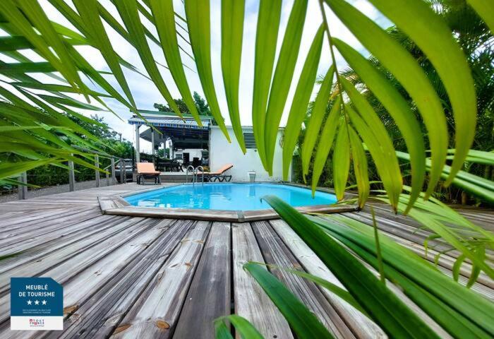une piscine avec une terrasse en bois et un palmier dans l'établissement Gîtes Les Bienheureux - Piscine, Hamak, Terrasse, à Anse-Bertrand