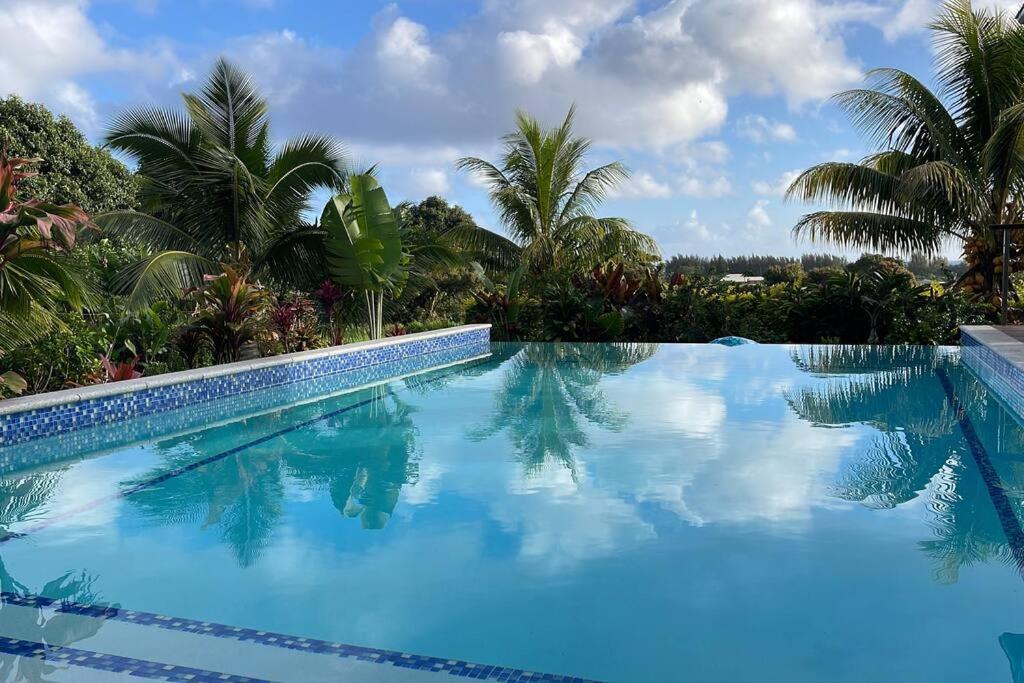 basen z niebieską wodą i palmami w obiekcie Avaiki Nui Villa w Avarua