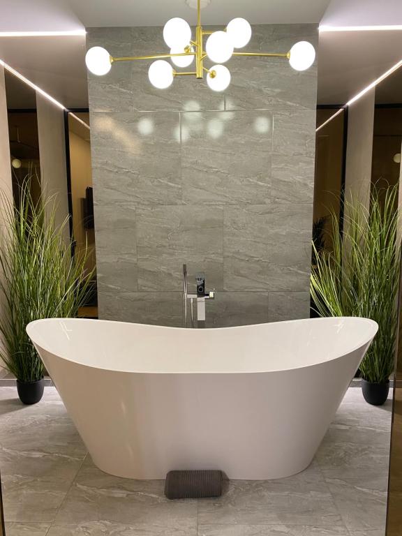 Dream Apartment - Housity