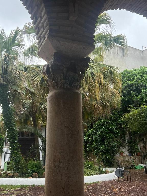 Zahrada ubytování Palacio de los Angulo casa histórica en el centro de Córdoba