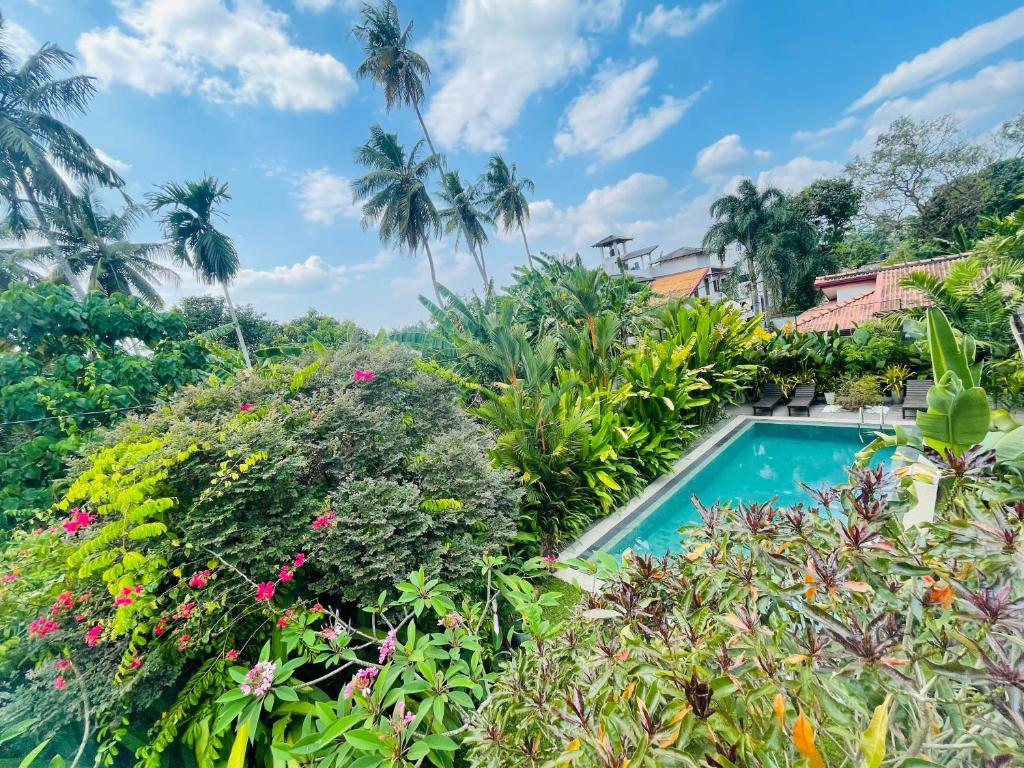 Roshe-Sky Guest House Colombo في Mahabage: صورة حديقة مع مسبح