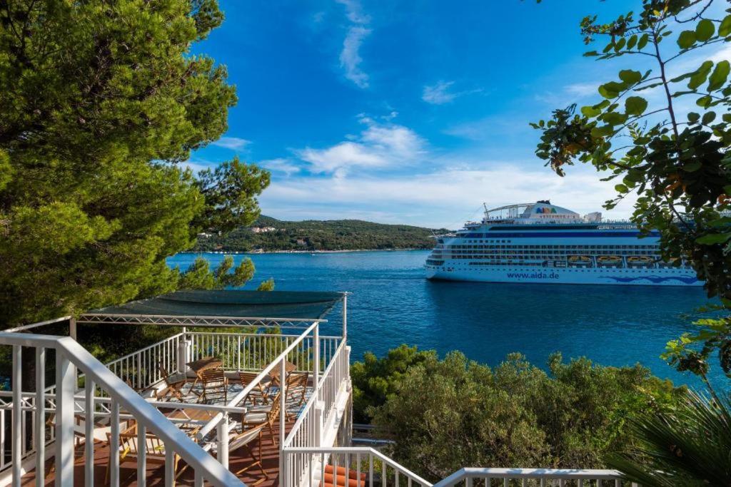 a cruise ship docked in a large body of water at Diamond Sea - Vacation House with Private Parking and a Big Terrace over the Sea in Dubrovnik