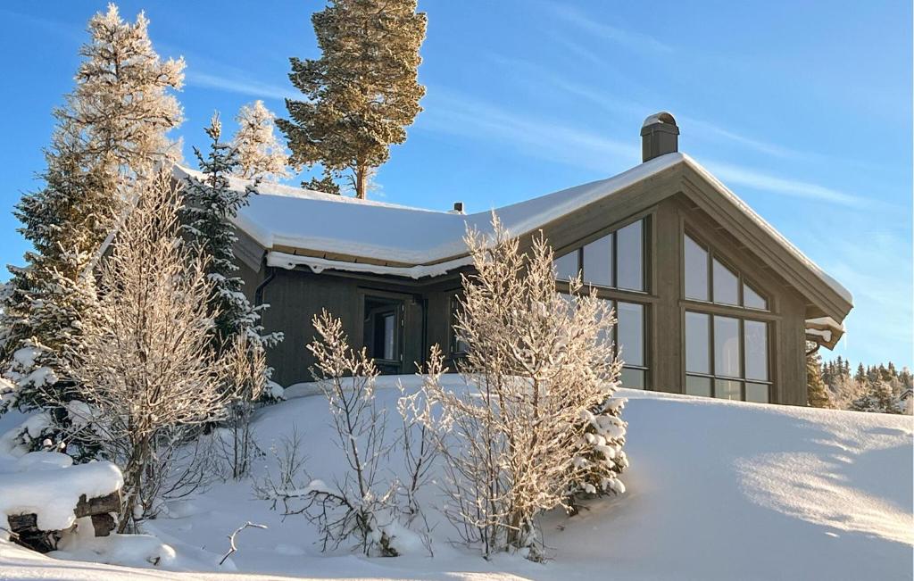 una casa cubierta de nieve con árboles en Pet Friendly Home In Gl With Kitchen, en Gålå