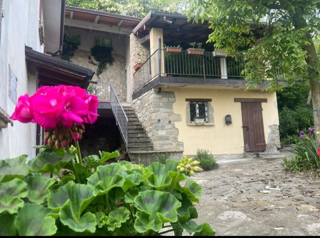 una casa con una flor rosa delante de ella en Les Maisons des Fleurs /IL NIDO DELLE CIVETTE, en Canossa