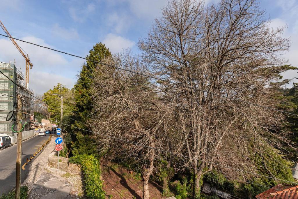 Sintra WOW - Unique double Smart Room in 17th century Palace! Hot tub, Snooker, BBQ, PS5, Sauna, Gym - Resim 13