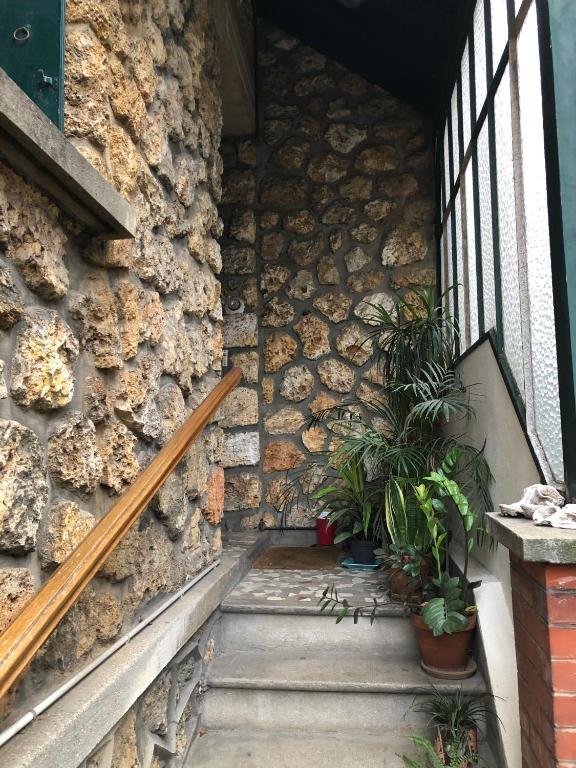 un mur de pierre avec un escalier et deux plantes dans l'établissement Studio Villejuif centre, à Villejuif