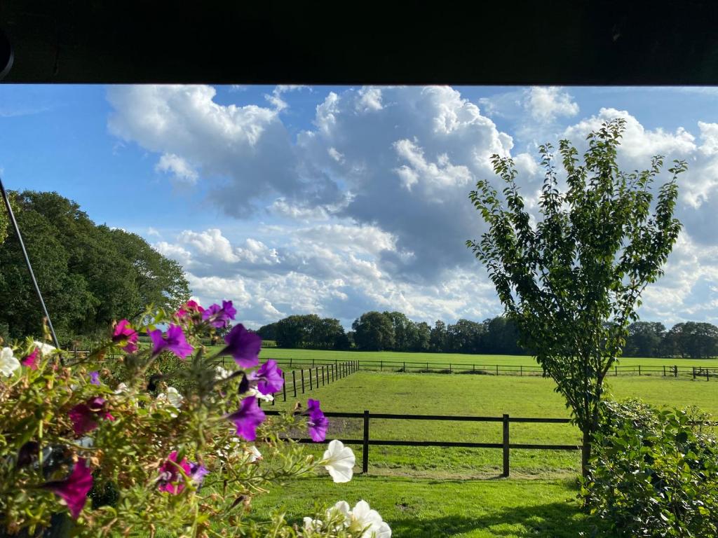 Erve Het Roolvink Boerderij Appartementen 40-50 M2 - Double Room With Private Bathroom