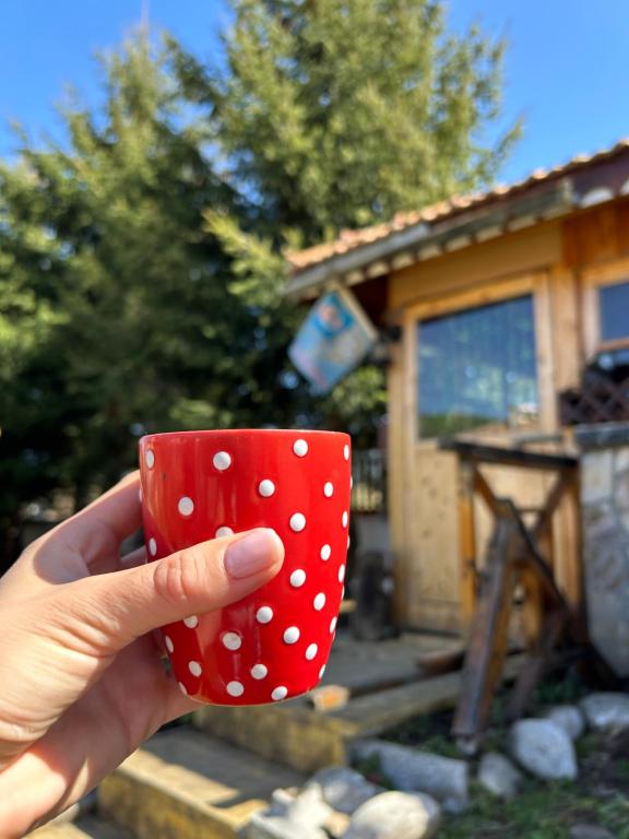 Fotografie z fotogalerie ubytování Guest House Rila v destinaci Govedarci