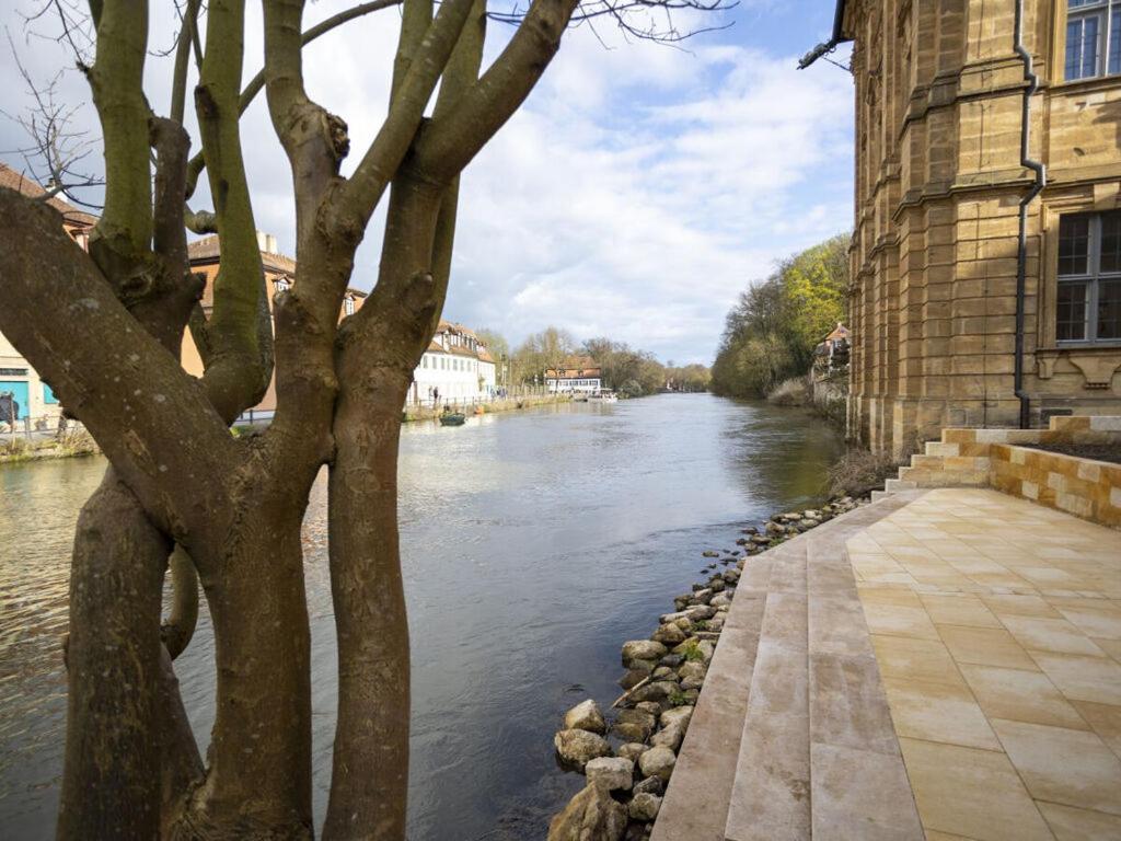 a river with a tree next to a building at Concordia33 Modern retreat in Bamberg