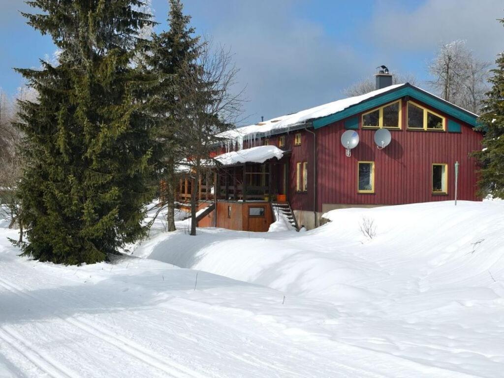 ein rotes Haus im Schnee mit einem Baum in der Unterkunft Ms Monika Rasehorn in Rehefeld-Zaunhaus