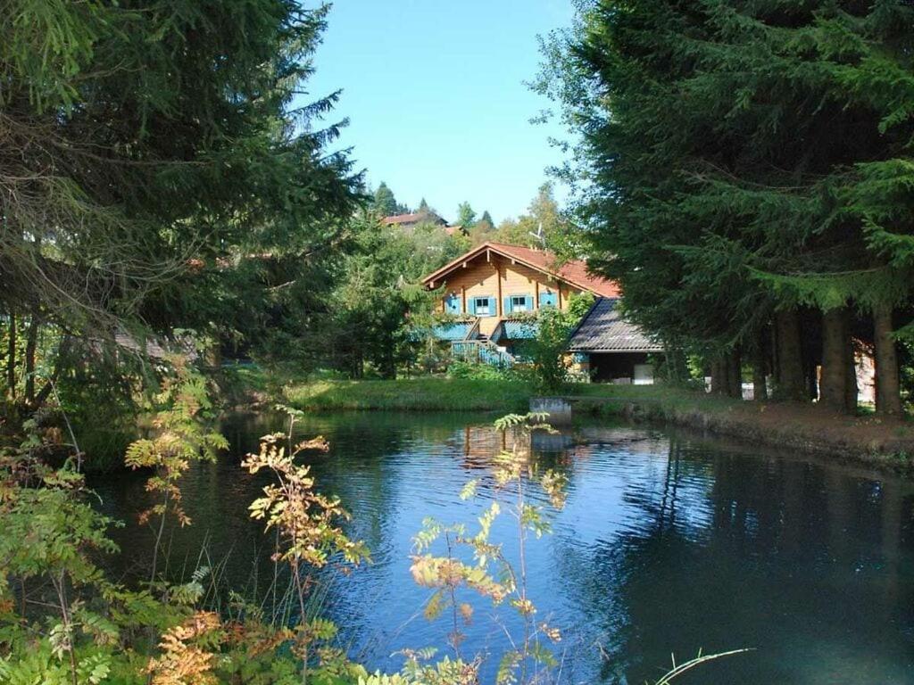 une maison assise à côté d'une rivière avec des arbres dans l'établissement Mitterdorf Modern retreat, à Mitterfirmiansreut