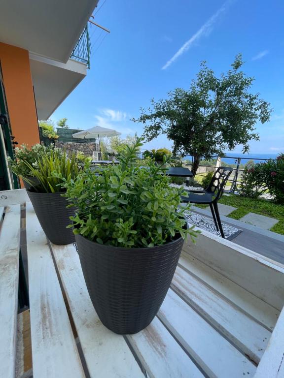 Zahrada ubytování B&B Perla sul mare