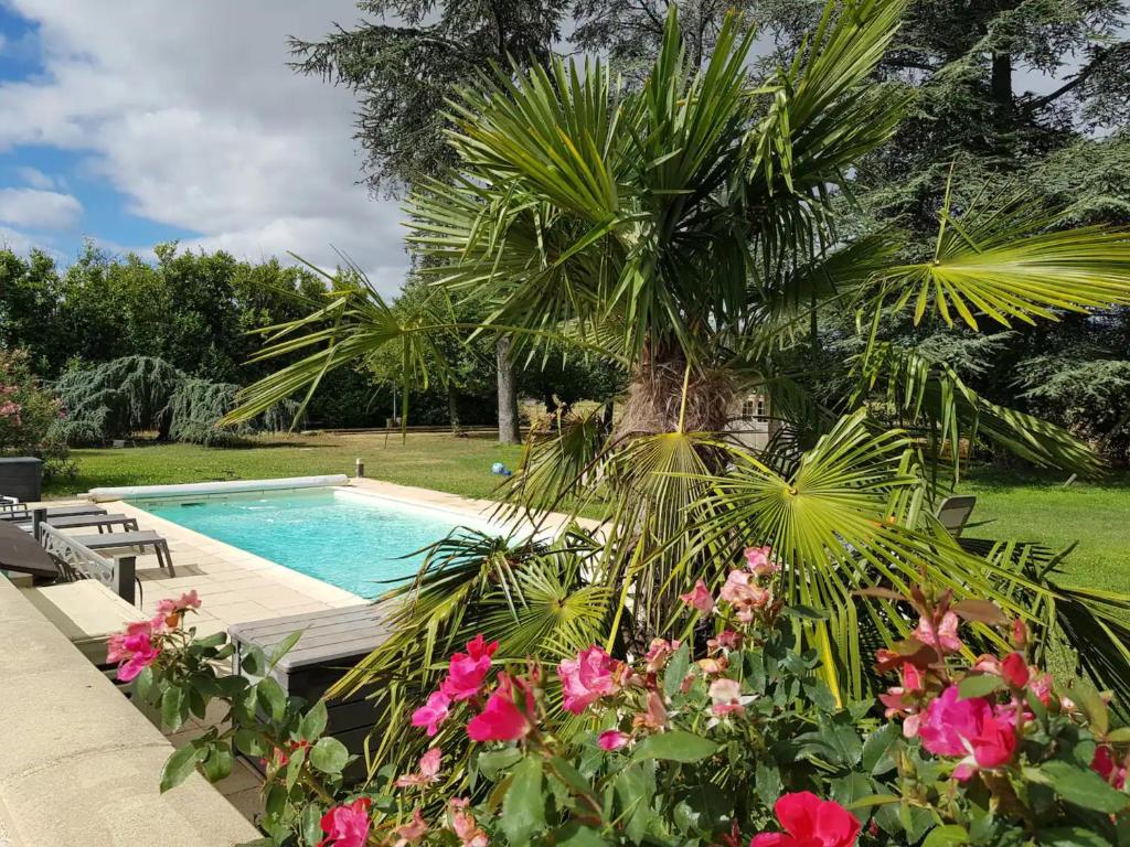 a swimming pool with a palm tree and flowers at Au Epicéah, logement à la campagne in Valence