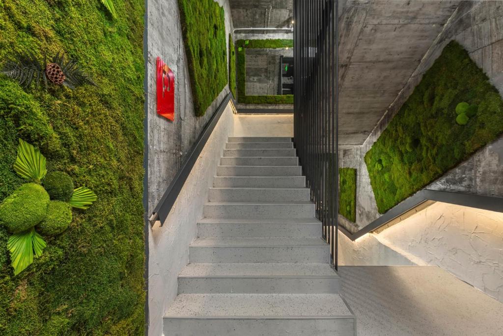 URBAN BUDGET HOTEL - Resim 33