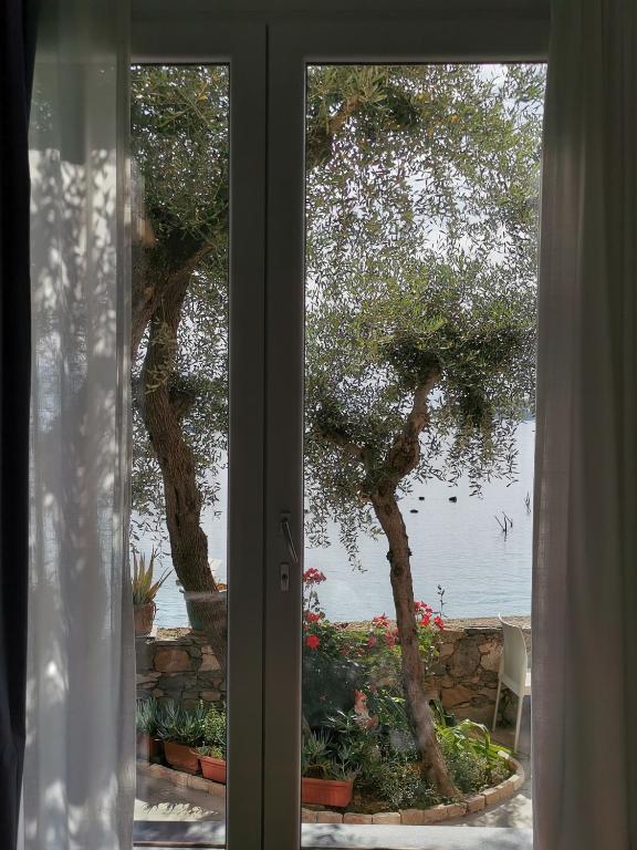 Zahrada ubytování B&B La Palafitta