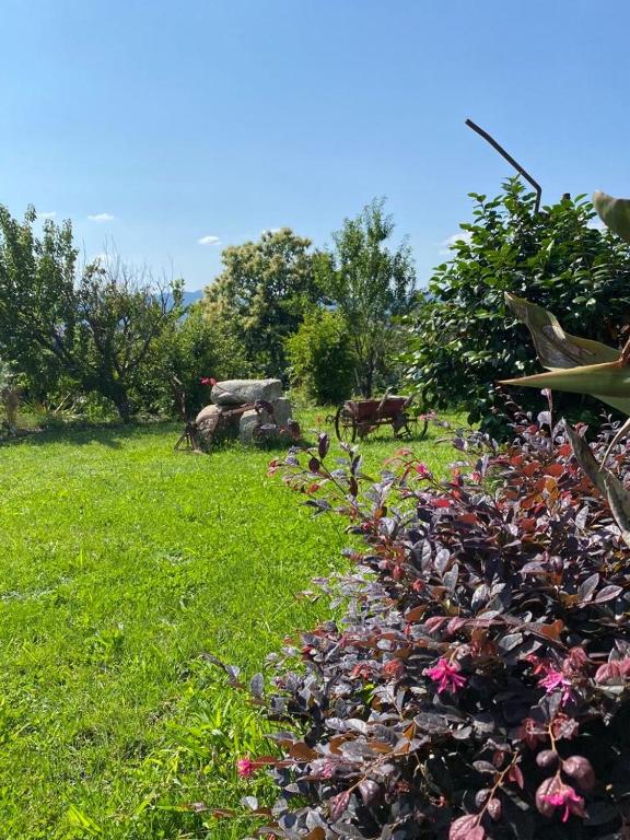 Hotel Quinta da Tulha By VimaHotels - Resim 25