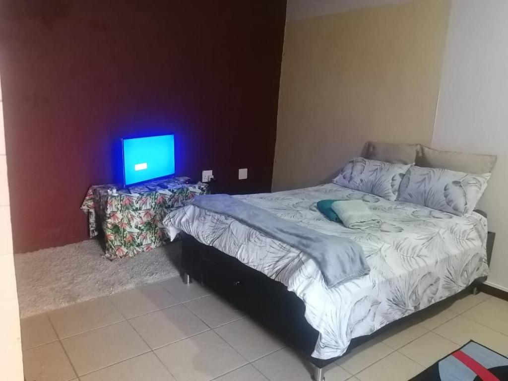 a bedroom with a bed with a tv on it at GLORIA'S GUESTS.COM in Polokwane